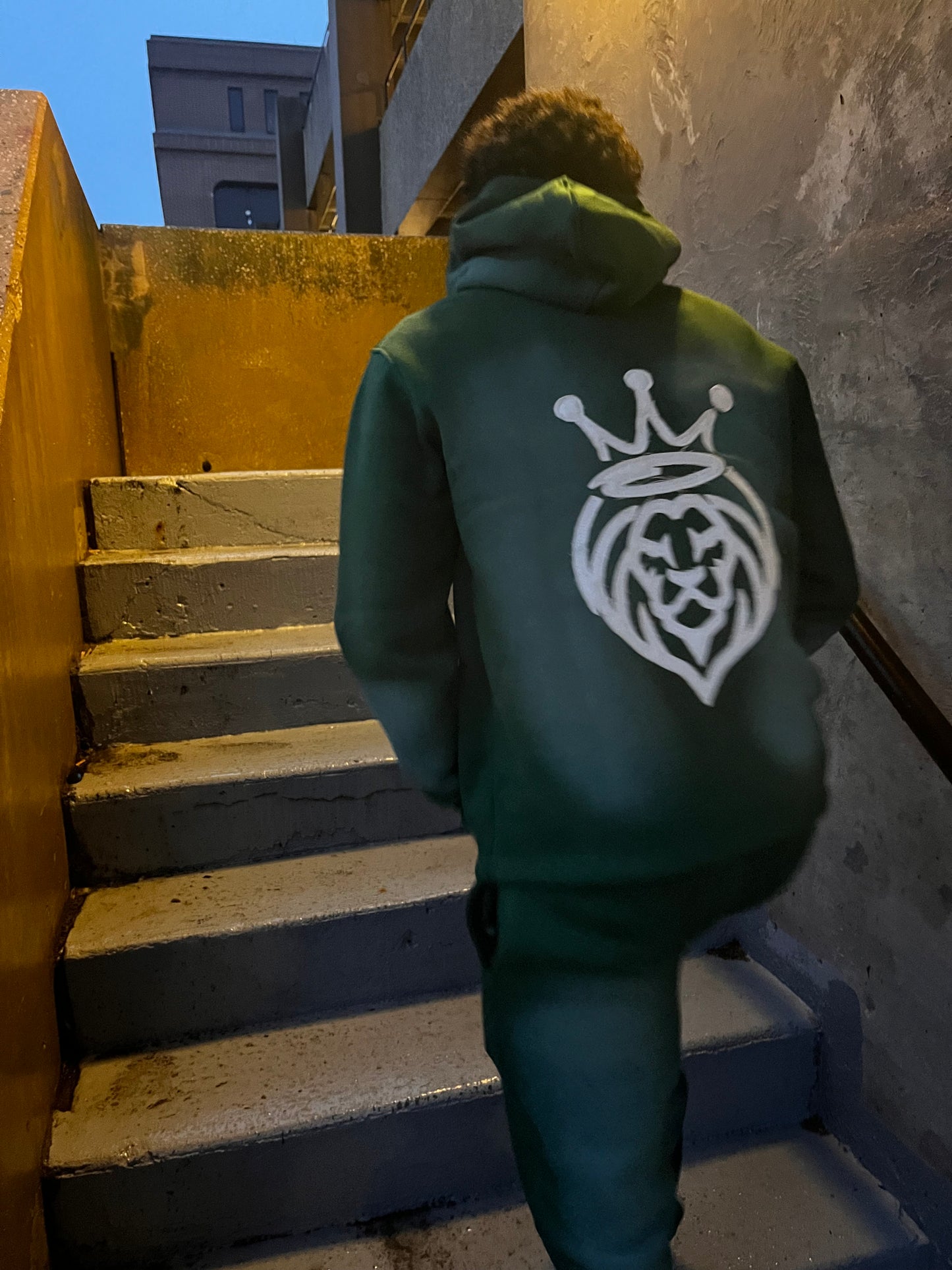 Sunfade Sweatsuit - green